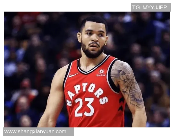 弗雷德范弗利特如何在NBA赛场上实现自我突破与成长