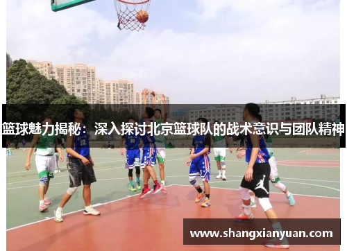 篮球魅力揭秘：深入探讨北京篮球队的战术意识与团队精神