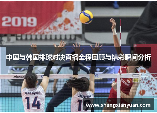 中国与韩国排球对决直播全程回顾与精彩瞬间分析